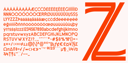 Hayatica Font Poster 2