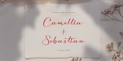 Amaterla Farmosa Font Poster 3