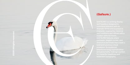 Gafsure Font Poster 9