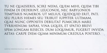 Perfect Roman Font Poster 5