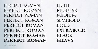 Perfect Roman Font Poster 4