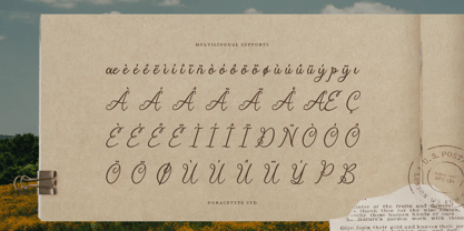 Estalion Linier Font Poster 11