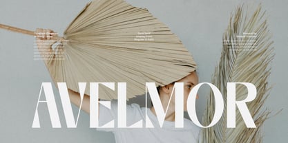 Avelmor Font Poster 1