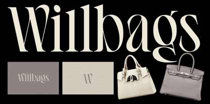 Ephidona Font Poster 11
