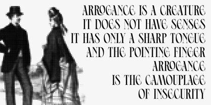 Ephidona Font Poster 13