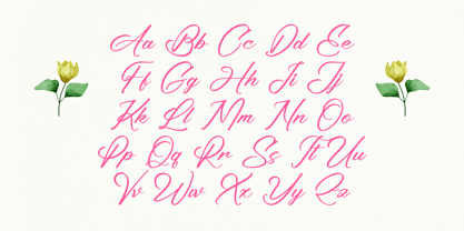 Ayeshy Clanita Font Poster 12