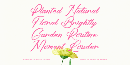 Ayeshy Clanita Font Poster 5