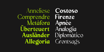 Mizhon Font Poster 5