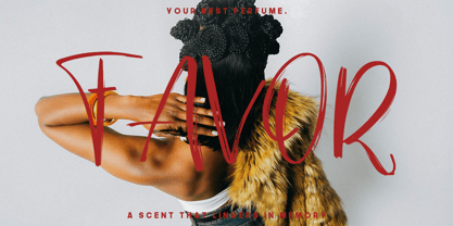 Cozy Stroke Font Poster 3