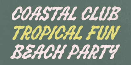 Salty Smile Font Poster 2