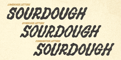 Salty Smile Font Poster 6