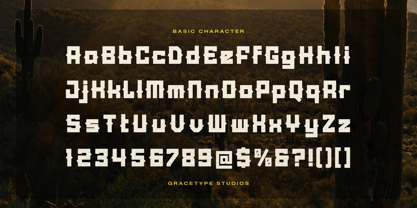 Lanarei Font Poster 10