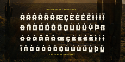Lanarei Font Poster 11