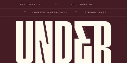 Ermago Display Font Poster 13