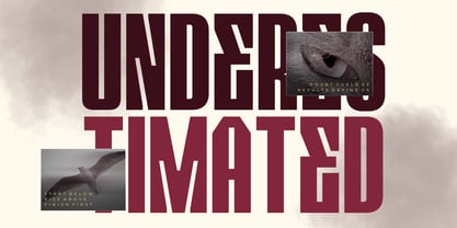 Ermago Display Font Poster 5