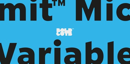 Limit Micro Variable Concept Font Poster 1