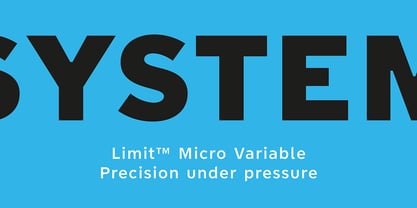 Limit Micro Variable Concept Font Poster 2