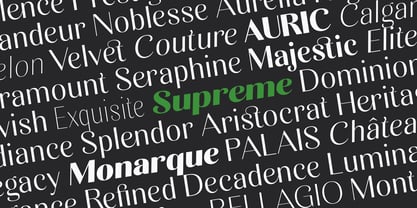 Kastien Font Poster 9