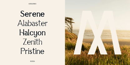 IT Aurlionex Font Poster 3