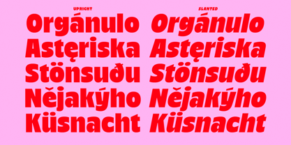 Nicka Font Poster 7