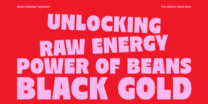 Nicka Font Poster 3