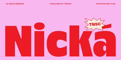 Nicka Font Poster 1