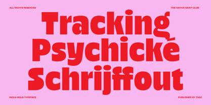 Nicka Font Poster 10