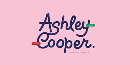 Monley Font Poster 7