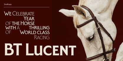 BT Lucent Font Poster 14