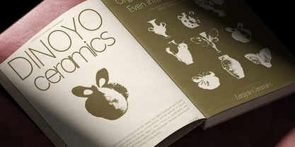 Emarys Font Poster 7