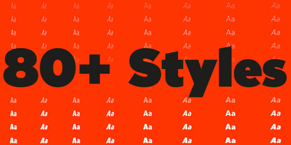 Limit Display Variable Concept Font Poster 6