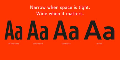 Limit Display Variable Concept Font Poster 4