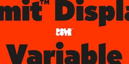 Limit Display Variable Concept Font Poster 1