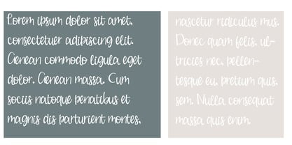 PN Buche De Noel Font Poster 6