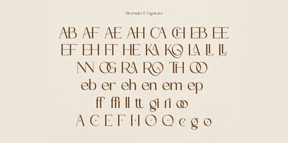 Teroka Font Poster 7