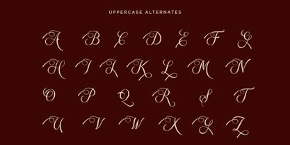 Rapodhite Font Poster 10