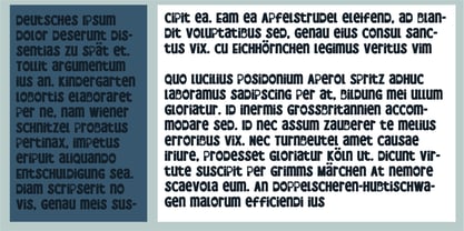PN Mc Blarney Font Poster 4