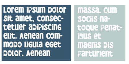 PN Mc Blarney Font Poster 7