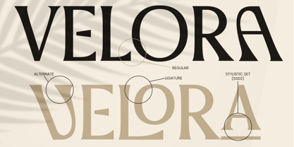 Classic Legend Font Poster 9