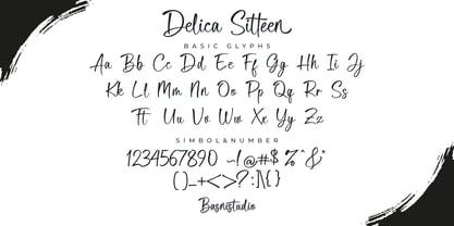 Delica Sitteen Font Poster 11