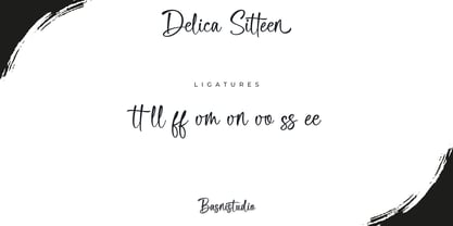 Delica Sitteen Font Poster 13