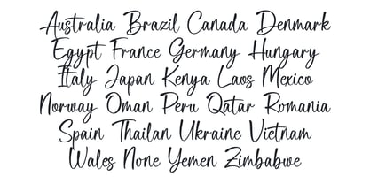 Delica Sitteen Font Poster 10