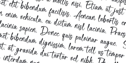 Delica Sitteen Font Poster 2