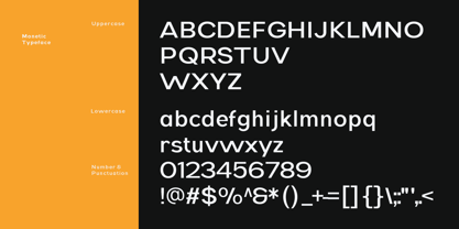 IT Monetic Font Poster 5