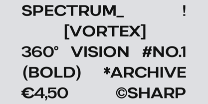 IT Monetic Font Poster 4
