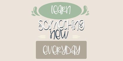 PN Ladylike Font Poster 7