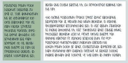 PN Ladylike Font Poster 2