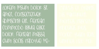PN Ladylike Font Poster 5