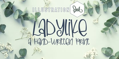 PN Ladylike Font Poster 1