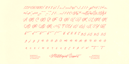 Akmelyn Beridge Font Poster 15